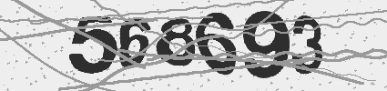 Captcha 4